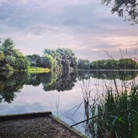 Wellingborough Fishing Lakes