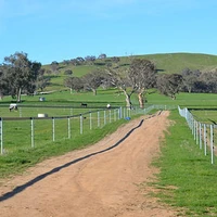 WADARI STABLES