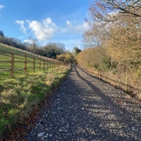 Walx - Thames Valley