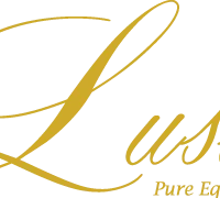 Lusso Pure Equilibrium
