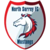 North Surrey Mustangs FC