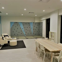 High Performance Climbing Walls