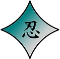 Tendo Bushi Ninjutsu