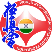 Dragon Martial Art Academy