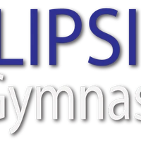 Flipside Gymnastics