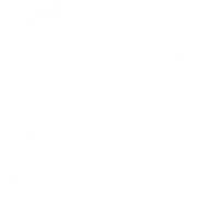 The Cycle Collective