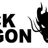 Black Dragon Taekwondo & Fitness