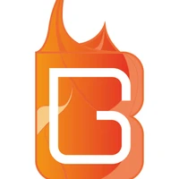 Blaze Gymnastics