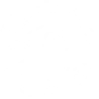 Trans Wales Trails Horse Riding