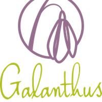 Galanthus Wellbeing