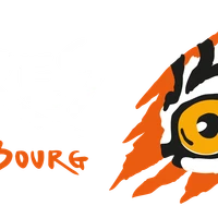 Tigres de Grand Bourg, club de Viet Vo Dao en Esssonne
