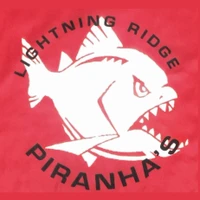 Lightning Ridge Swim Club