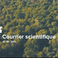 Lake of the Forêt d'Orient