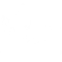 Charlotte et les Chérubins - Comportementaliste équin