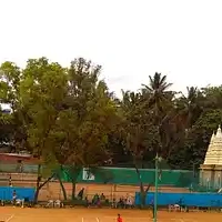 T-Square Arena Table Tennis Academy