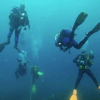 Odyssey Bleue Socoa Diving Center Au Pays Basque