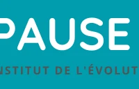 Pause Zen