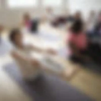 SBD FITNESS(UNISEX GYM)