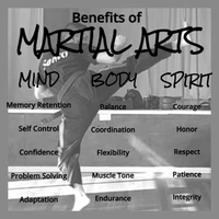 Sento Martial Arts