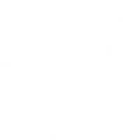 Mount Surf Academy