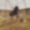 Allbright Equestrian Centre