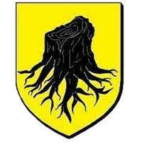 Terrain d'Honneur FC Entzheim