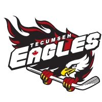 Tecumseh Minor Hockey