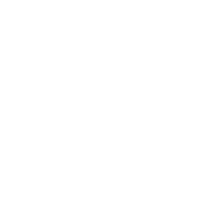 ping pong parlour
