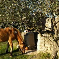 La Meironnette: Location de vacances gîte meublé de caracère avec piscine 5 ou 6 pers Aix Provence