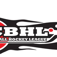 Gas City Ball Hockey League