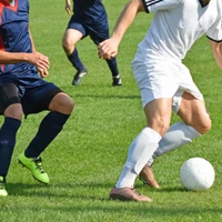 Waverley Park FC