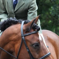 Dickey Steps Riding School