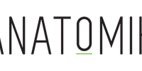 ANATOMIK