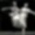 Brian Nolan Academy of Dance