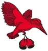 Kingfisher Boxing Club