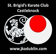 St Brigids Karate Club- Castleknock