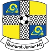 Ewhurst JFC Home