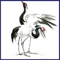 White Crane Karate School