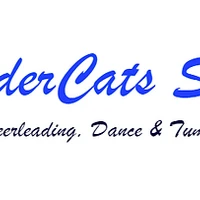 ThunderCats Studio