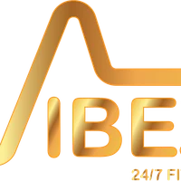 VibeZ 24/7 Fitness