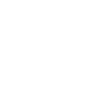 Kingston School of Dance