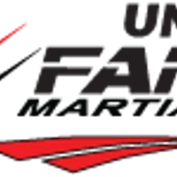 United Family Martial Arts Mountain