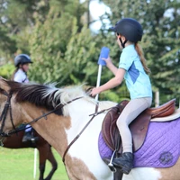 Phillips Equine