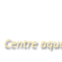La Piscine De Mag