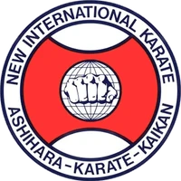 Ashihara Karate in Singapore (by Lionheart Academy)