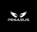 Pegasus Gym
