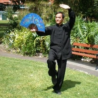 Master Li Wong Tai Chi School