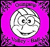 Guingamp Volley-ball