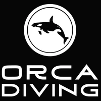 Orca Diving