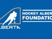 Thorhild Minor Hockey